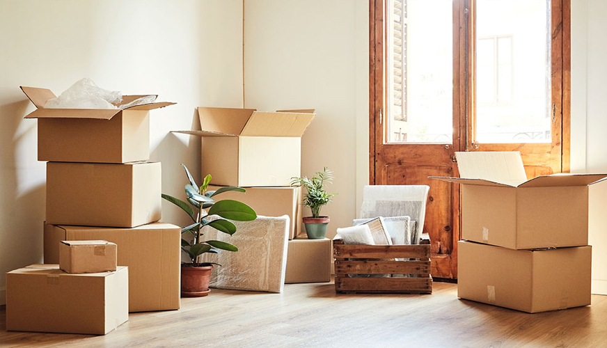 Packers and Movers Services