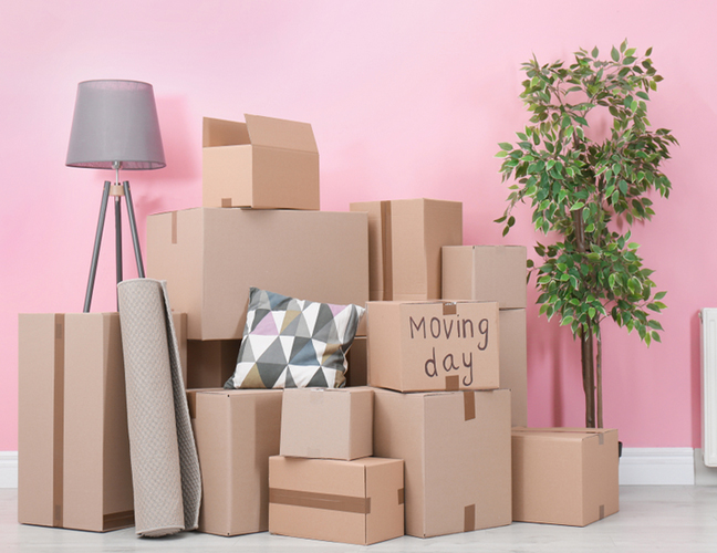 Shristi Cargo Packers and Movers