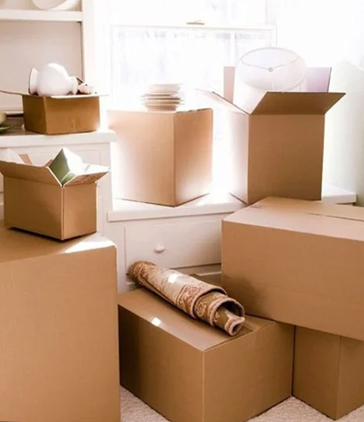 Packing Moving Services
